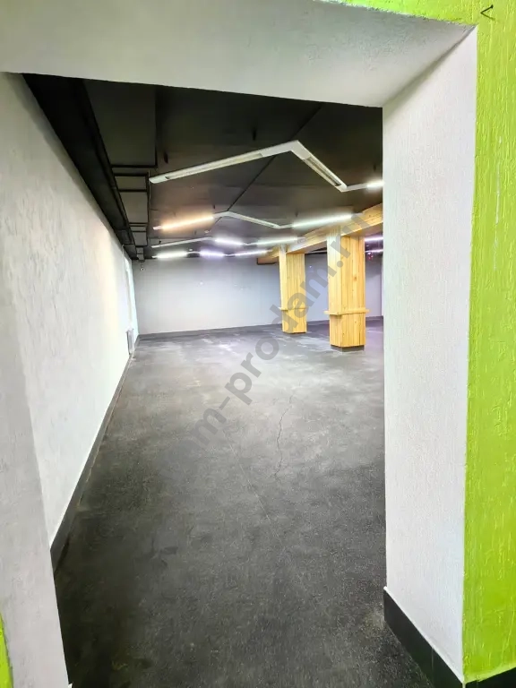Помещение свободного назначения, 250 м², Собственник