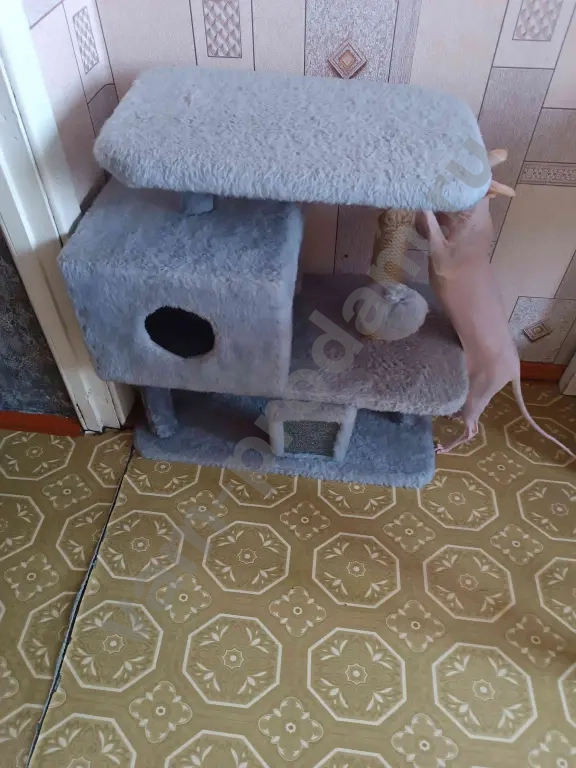 кошачий дом-когтеточку