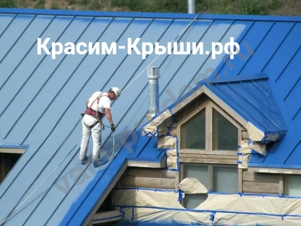 Покраска крыши дома в Домодедово от 350.руб/м2