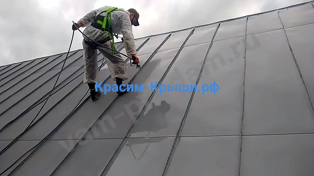 Покраска крыши дома в Домодедово от 350.руб/м2