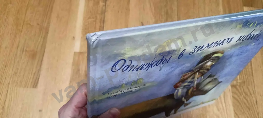 Однажды в зимнем городе Мишарин Я