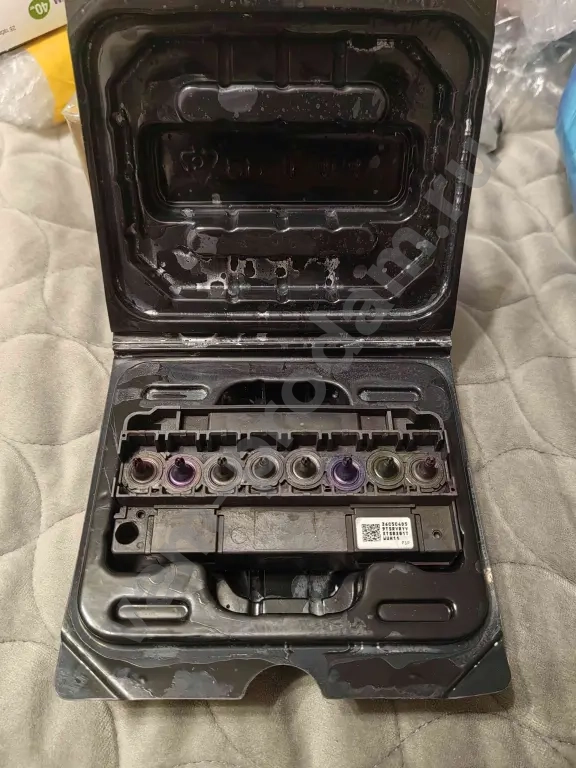 Печатная голова canon dx5