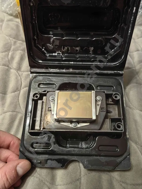 Печатная голова canon dx5