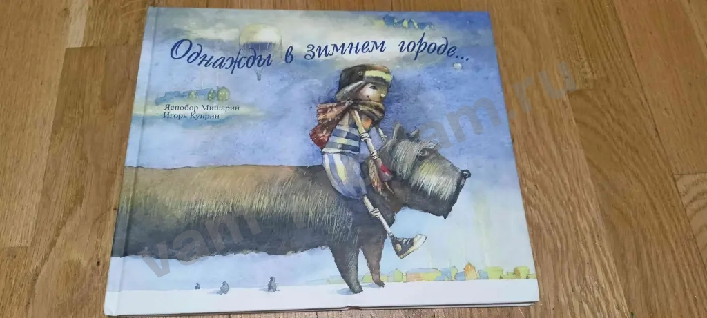 Однажды в зимнем городе Мишарин Я