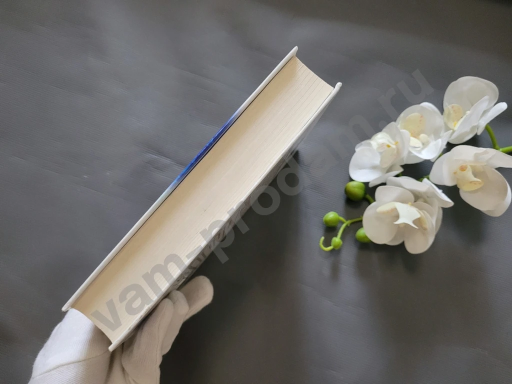 Тайна древней гробницы. Черный круг. Слишком глубоко | Карман Патрик, Уотсон Джуд