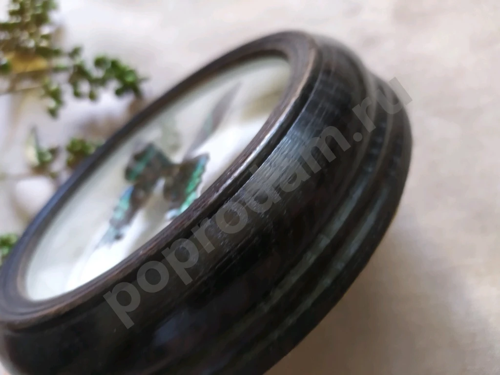 Перуанская бабочка в рамке