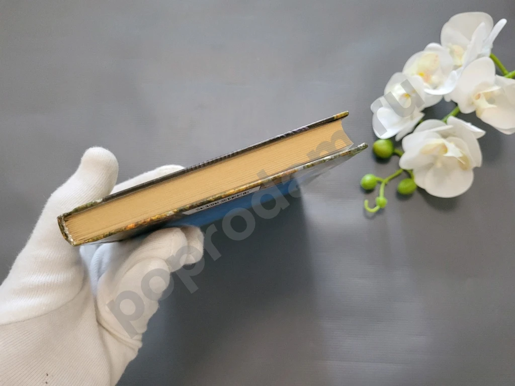 Лечебник Ванги. Лучшие рецепты великой целительницы 2009