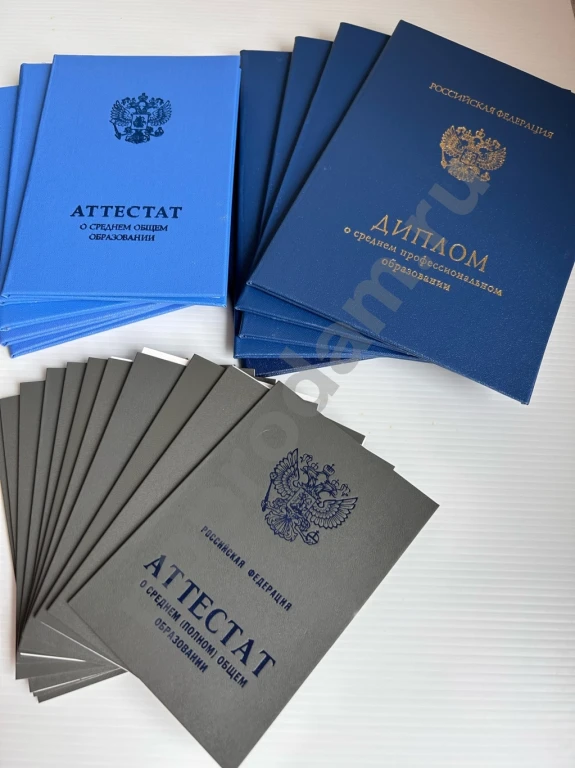 Диплом аттестат, есть лицензия