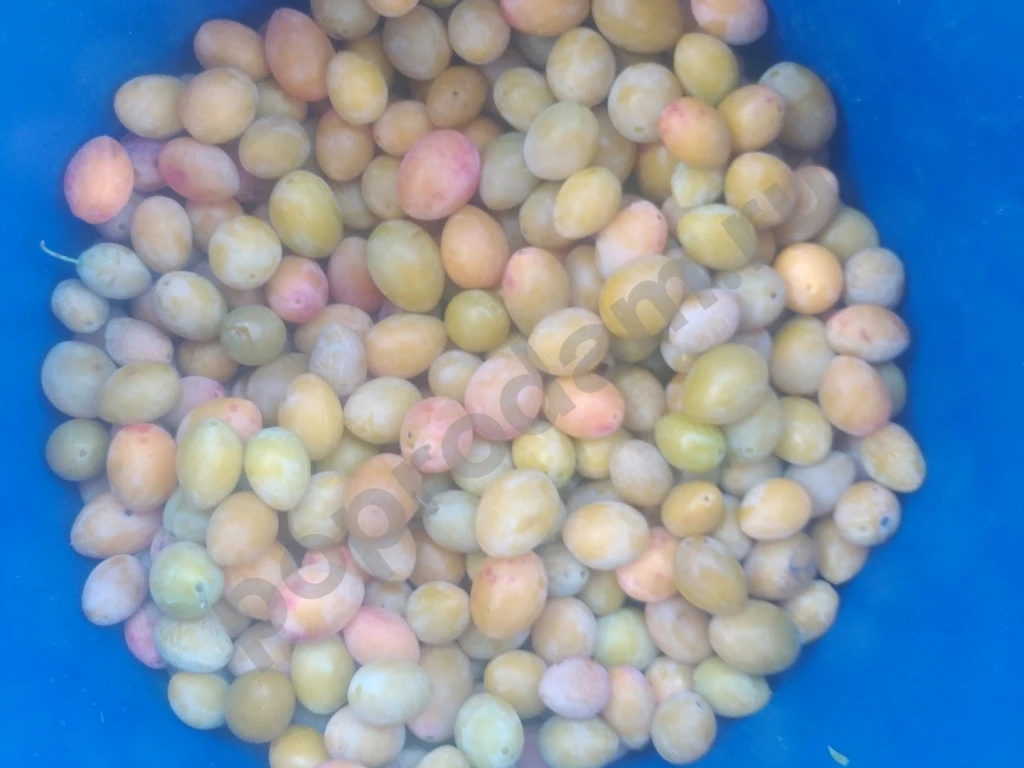 Замороженные ягоды