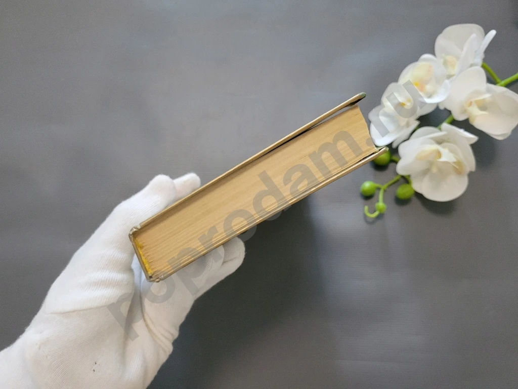 Крылья | Стил Даниэла 1999