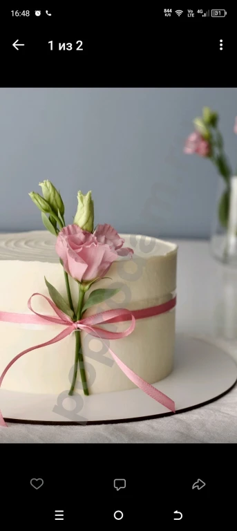 Торты Петрозаводск качественно и вкусно