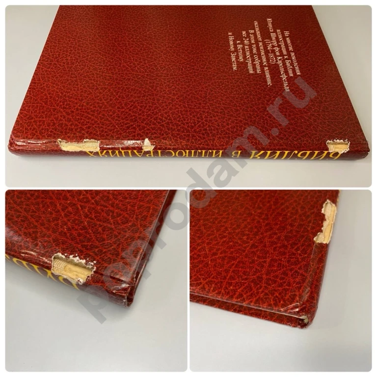 Библия в иллюстрациях Карольсфельд 1991