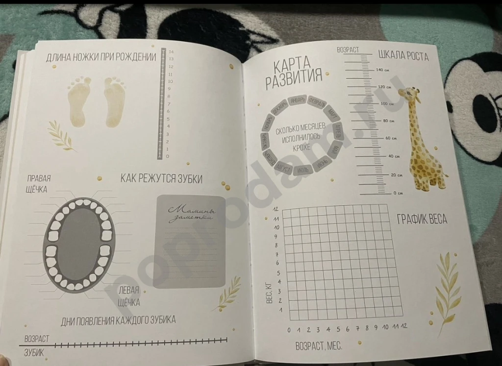 Первый альбом малыша