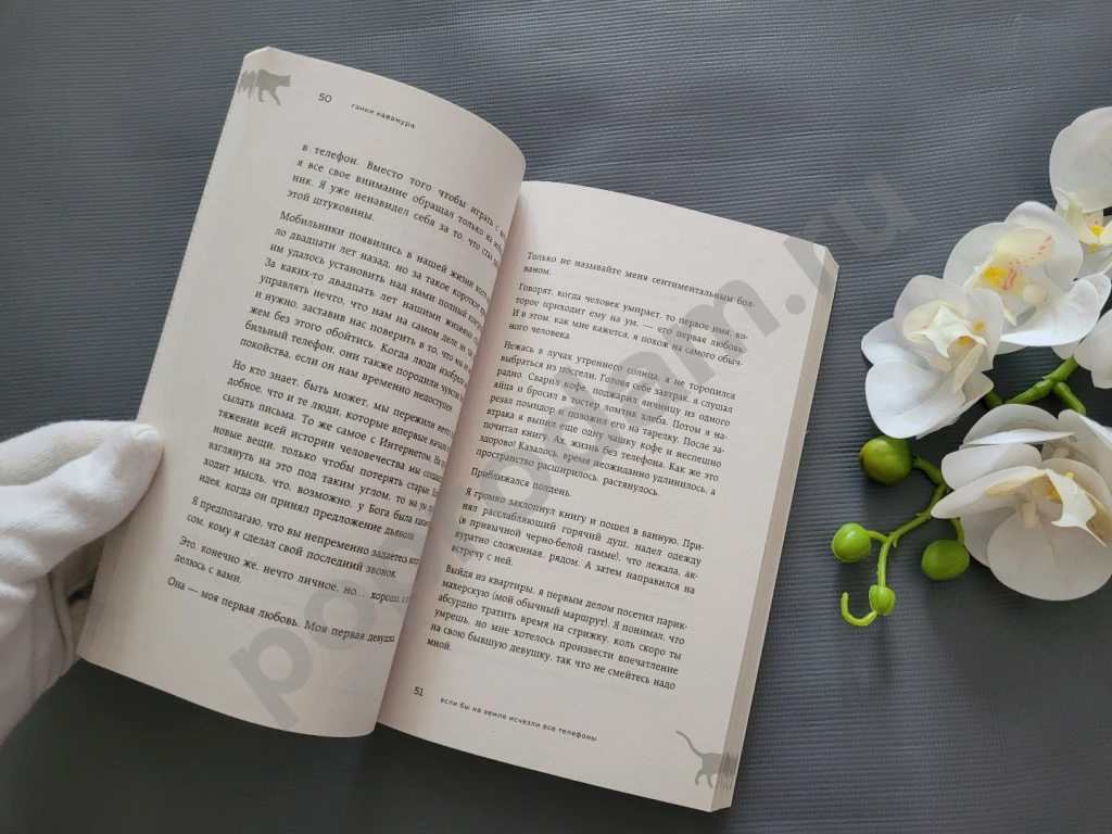 Гэнки Кавамура Если все кошки в мире исчезнут новая