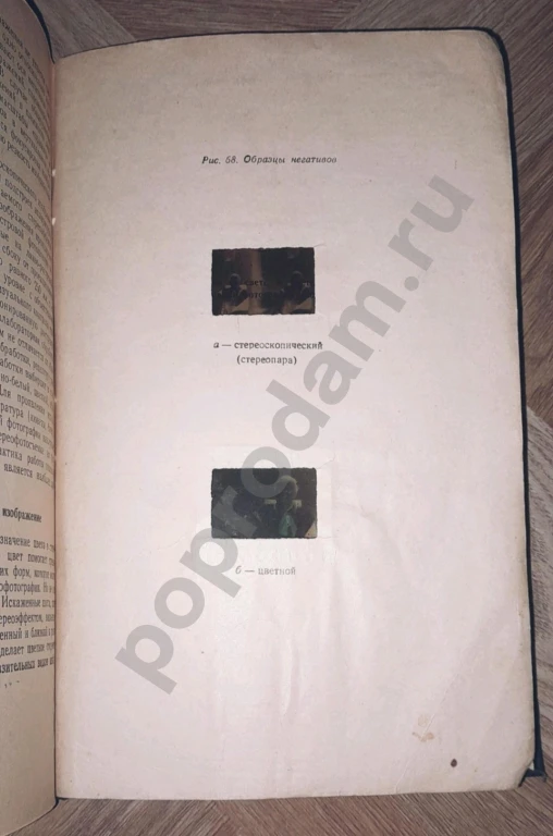 1954 г. Фотография черно-белая, цветная, стереоскопическая. Автор: В.М. Фридман