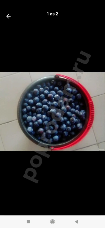 Замороженные ягоды