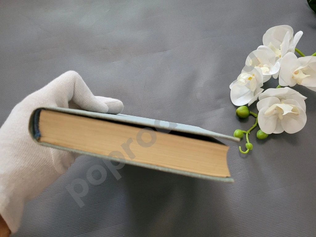 Путешествие и приключения капитана Гаттераса | Верн Жюль 1980г