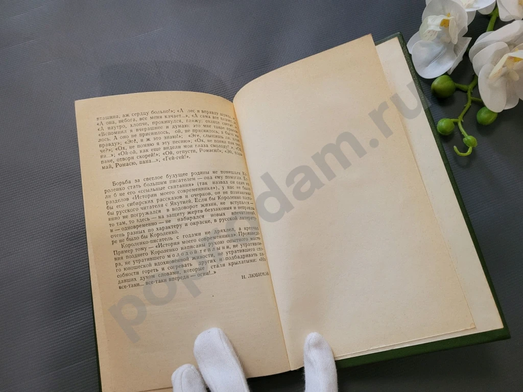 В. Г. Короленко. Рассказы и очерки | Короленко Владимир Галактионович 1982