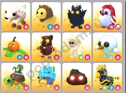 Петы адопт ми