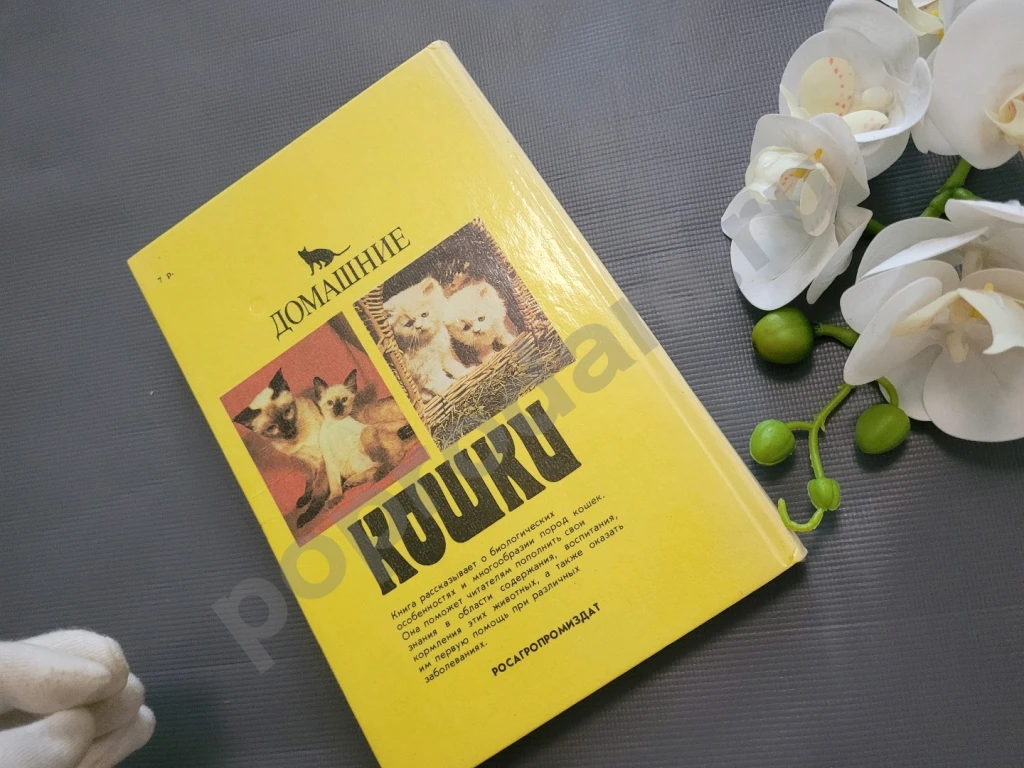 Филиппов / Домашние кошки 1991г