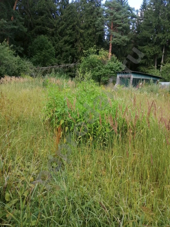 Дом 206 м² на участке 8 сот., Поселений (ИЖС)