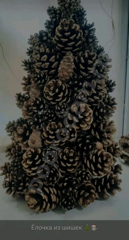 Шишки сосновые