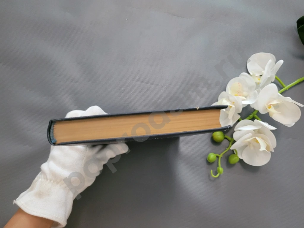 И.И. Лажечников Ледяной дом 1982