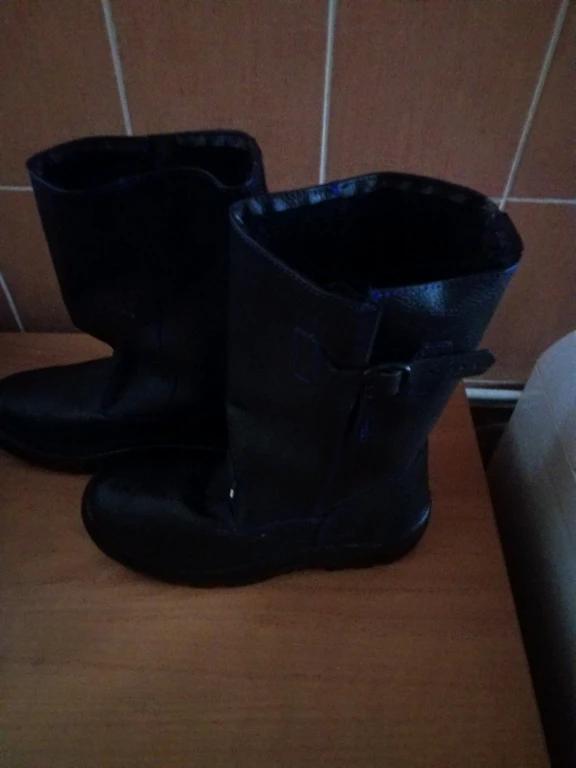 Сапоги мужские Легион