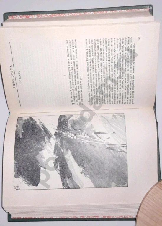 1982 г. Гариф Ахунов 