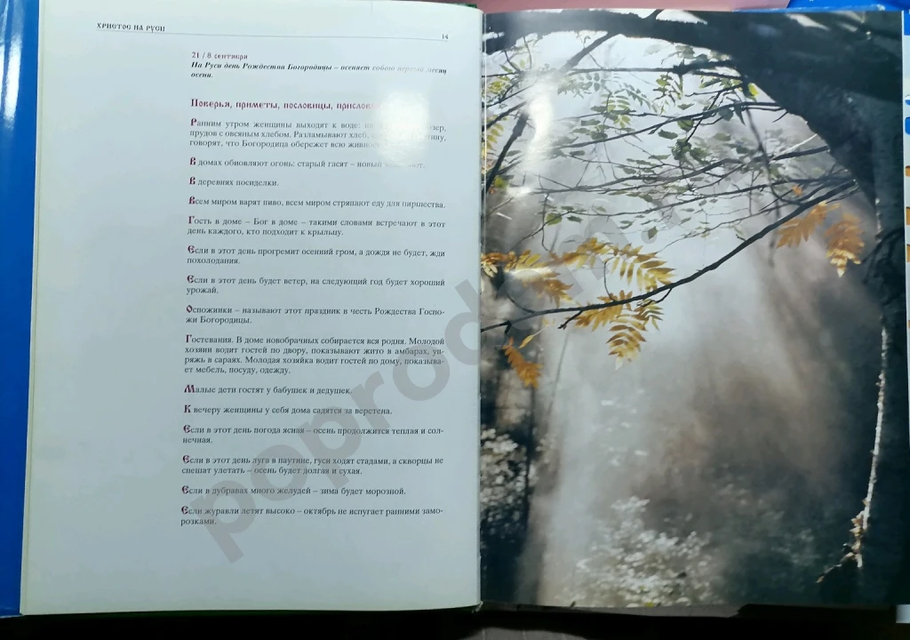 Религиозная книга 