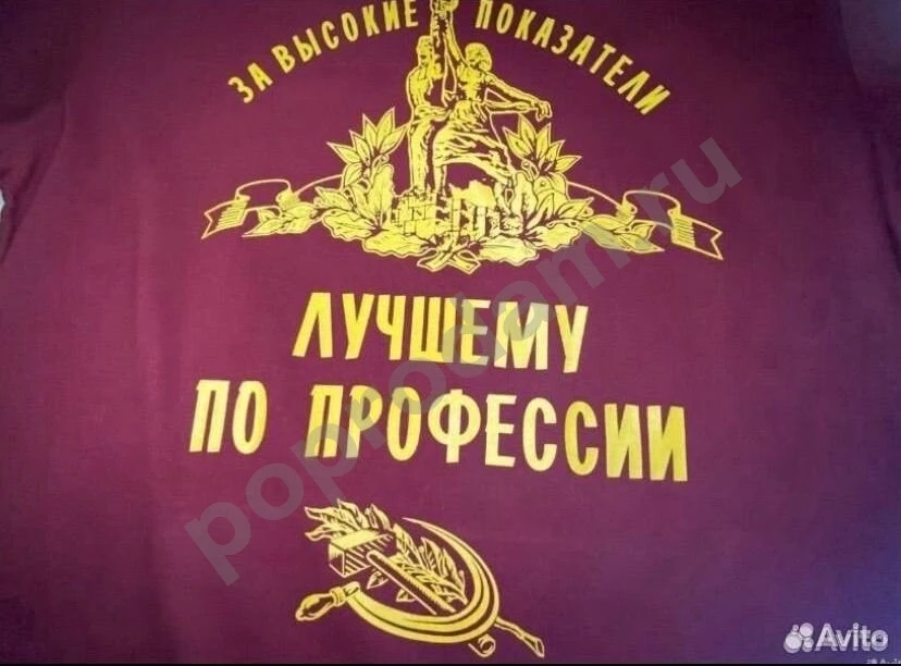 Новая футболка с принтом Лучшему по профессии 48