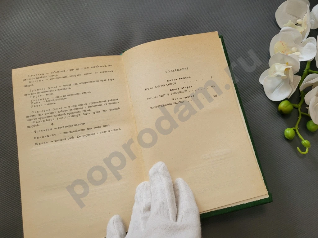 Время таяния снегов | Рытхэу Юрий Сергеевич 1981г