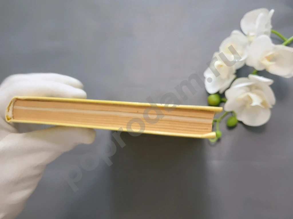 Филиппов / Домашние кошки 1991г