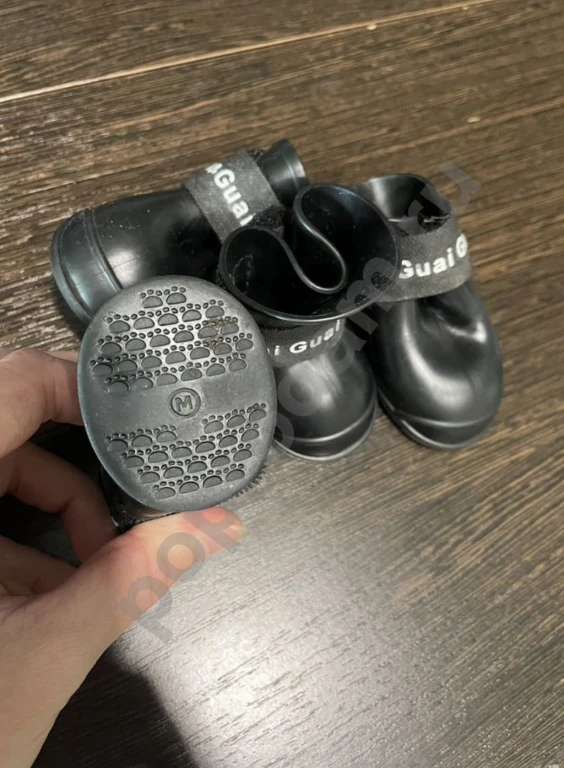 Одежда для маленькой собачки