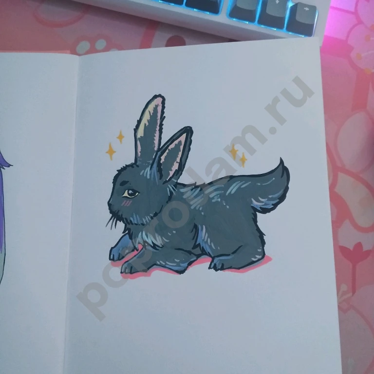 Нарисую вашего питомца по фотографии~