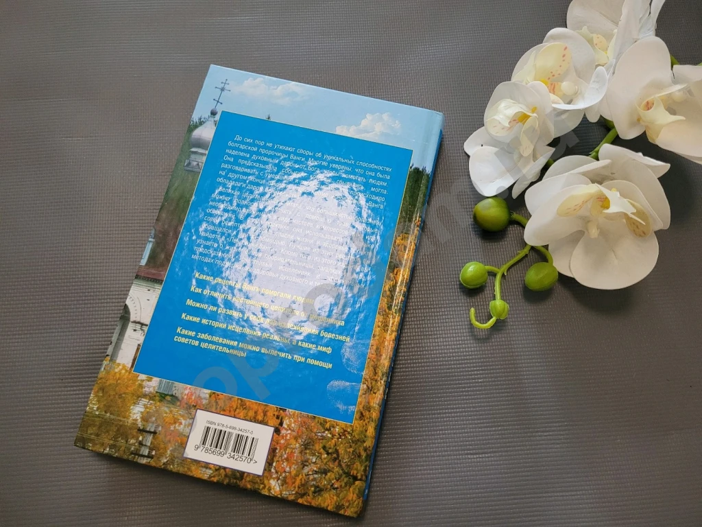 Лечебник Ванги. Лучшие рецепты великой целительницы 2009