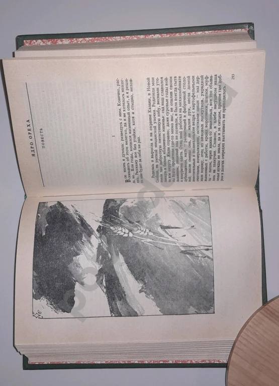 1982 г. Гариф Ахунов ЯДРО ОРЕХА (роман, повести)