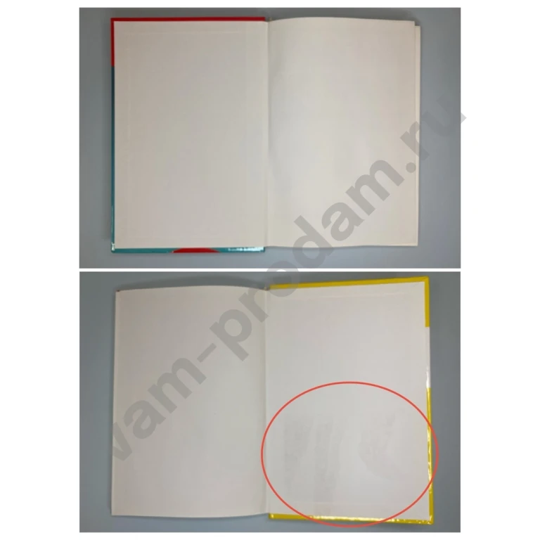 Сдаем на права Курс по ПДД и вождению книга и диск