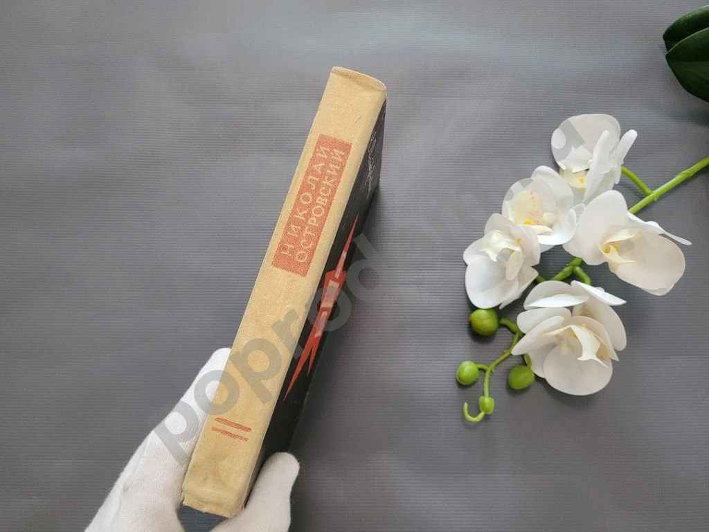 Николай островский как закалялась сталь 1969г