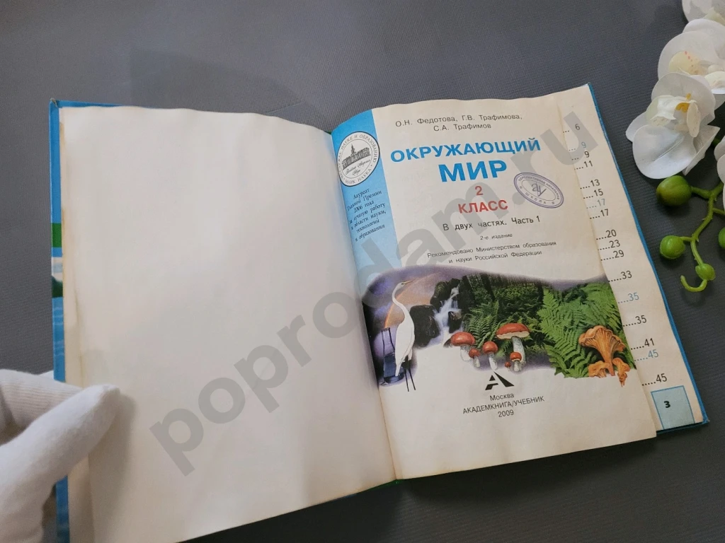 Учебник 2кл. Окружающий мир. Ч.1 (Федотова) ФГОС (ПерспективнаяНачШкола) (АК, 2009)