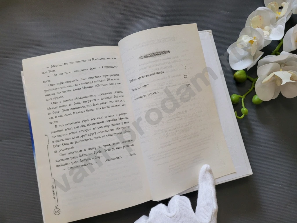 Тайна древней гробницы. Черный круг. Слишком глубоко | Карман Патрик, Уотсон Джуд