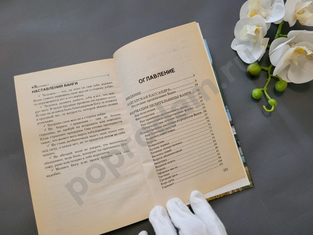 Лечебник Ванги. Лучшие рецепты великой целительницы 2009