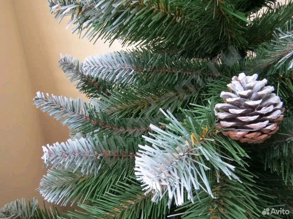 Ель Императрица Триумф с шишками 185 см заснеженая