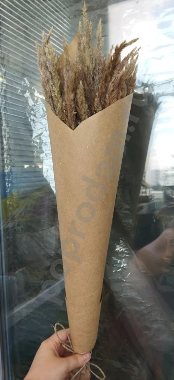 Вейник сухоцвет букетик