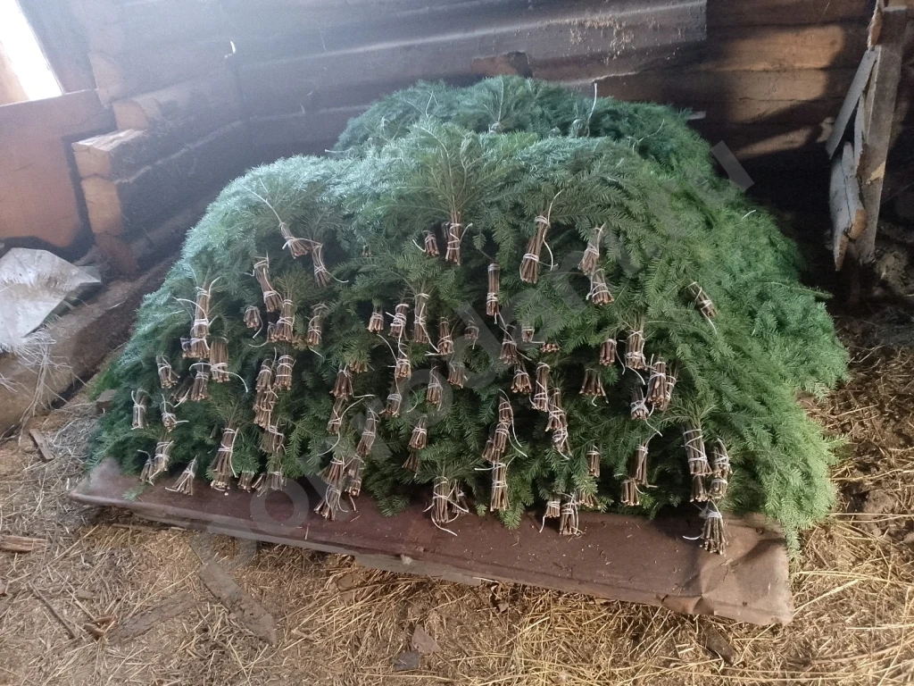 Веник пихтовый