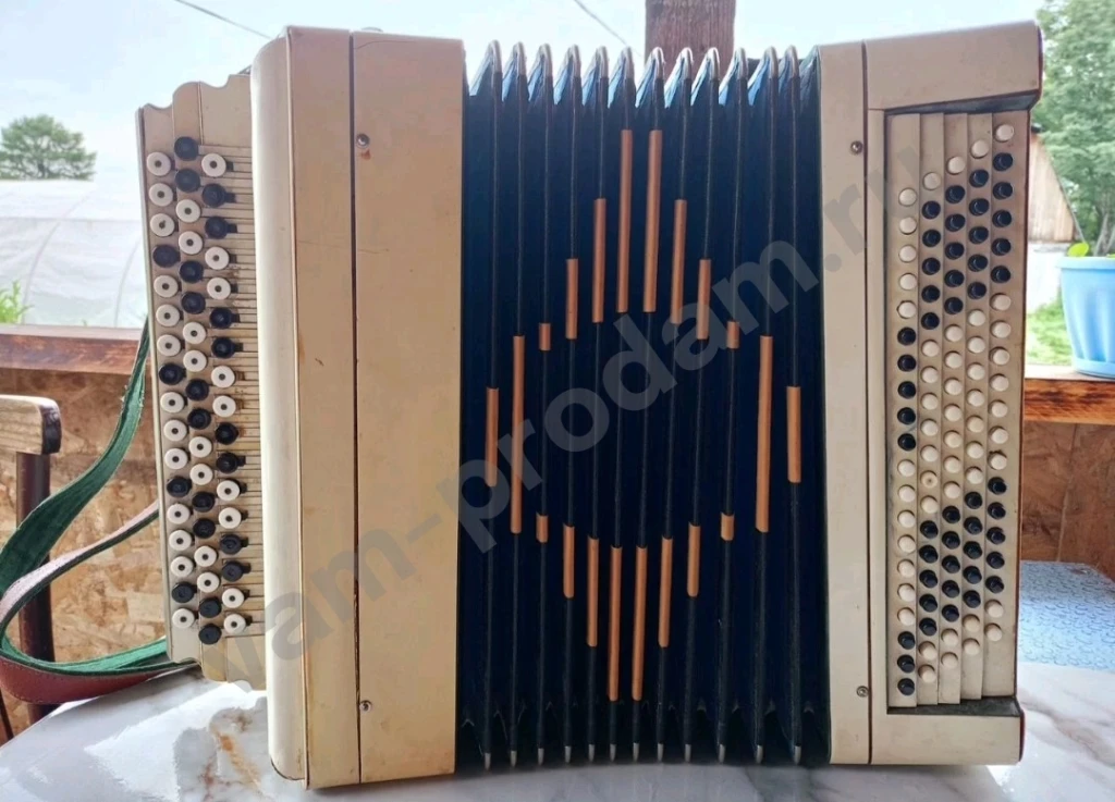 Баян Тульский