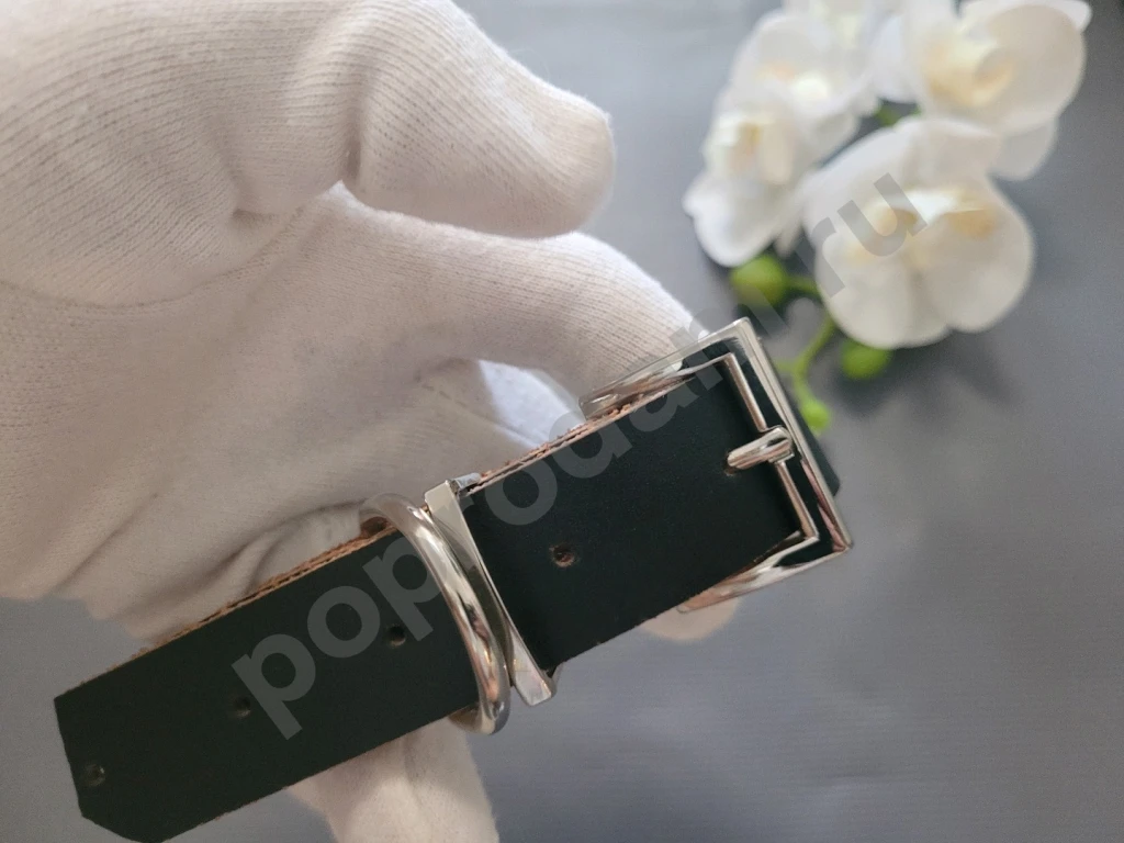 Ошейник для собаки кожаный коричневый с шипами