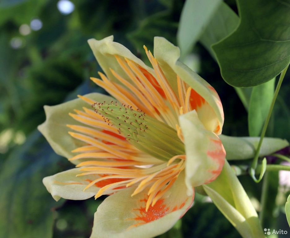 Экскурсии индивидуальные