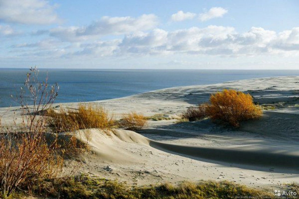 Экскурсии на Куршскую косу