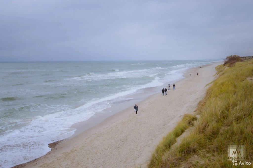 Экскурсии на Куршскую косу